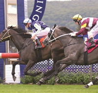Gosford Race Club - Broome Tourism