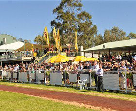 Alice Springs Turf Club - Broome Tourism 5