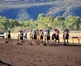 Alice Springs Turf Club - Broome Tourism 6