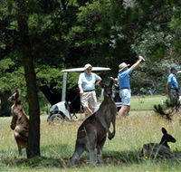 Glen Innes Golf Club - Broome Tourism