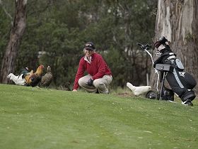 Tasmania Golf Club - The - Broome Tourism 0