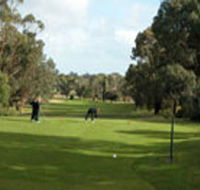 Mount Gambier Golf Club - Broome Tourism