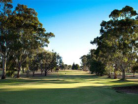 Loxton Golf Club - Broome Tourism 0