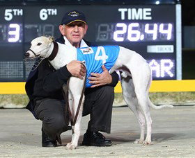 Bulli Greyhound Racing Club - Broome Tourism 2