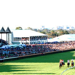 Morphettville SA Broome Tourism