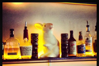 Hairy Canary - Broome Tourism 0
