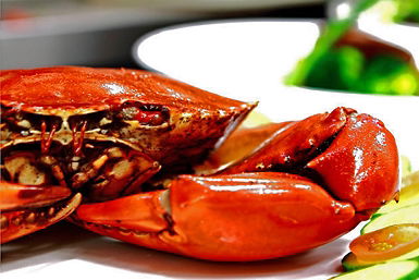Newquay International Buffet - Broome Tourism 0