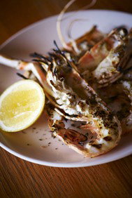 Alira - Broome Tourism 2