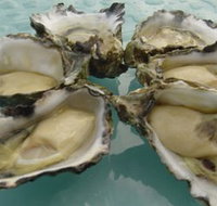 Nick's Bar and Grill - Broome Tourism