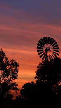Emerald Springs Roadhouse - Broome Tourism 5