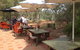 Bean Tree Cafe & Gifts - thumb 2