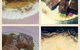 The Old Tea House - thumb 1