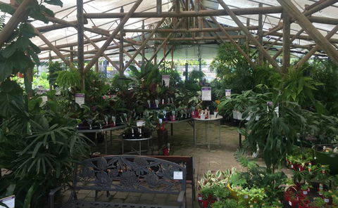 Limberlost Nursery & Garden Centre - Broome Tourism 1