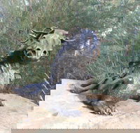 Bathurst Arts Trail - Broome Tourism