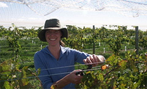 Kingsdale Wines - Cellar Door Wine Tastings - Broome Tourism 0