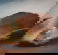 Lecture Cancelled  ADFAS  Lecture Half-Day - Patricia Law speaking on Pearls and Diamonds - Broome Tourism