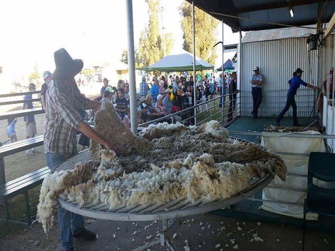Narrabri Show - Broome Tourism 0