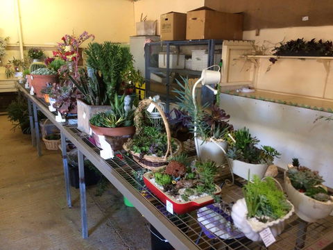 Narrabri Show - Broome Tourism 2