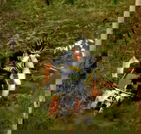 Sunshine Coast MTB Festival - Broome Tourism