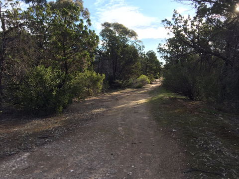 Victoria Park Moonta Monthly Walks - Broome Tourism 0
