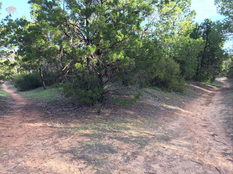 Victoria Park Moonta Monthly Walks - Broome Tourism 1