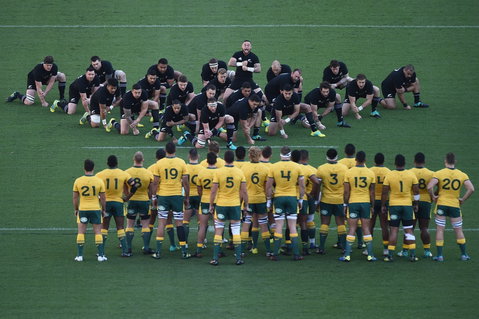 Bledisloe Cup: Qantas Wallabies Versus All Blacks - Broome Tourism 0