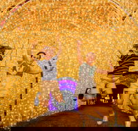 Christmas Lights Spectacular New Year's Eve at Hunter Valley Gardens - Broome Tourism