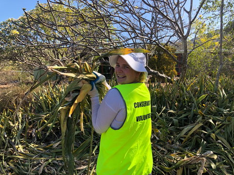 Conservation Volunteers Australia Townsville - Beach Scrub Conservation - Broome Tourism 0
