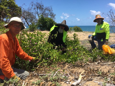 Conservation Volunteers Australia Townsville - Beach Scrub Conservation - Broome Tourism 2
