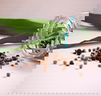 Cooking with Australian Indigenous Spices cooking class - Broome Tourism