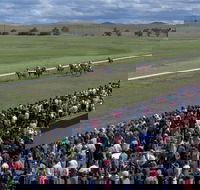 Cooma Sundowners Cup - Broome Tourism
