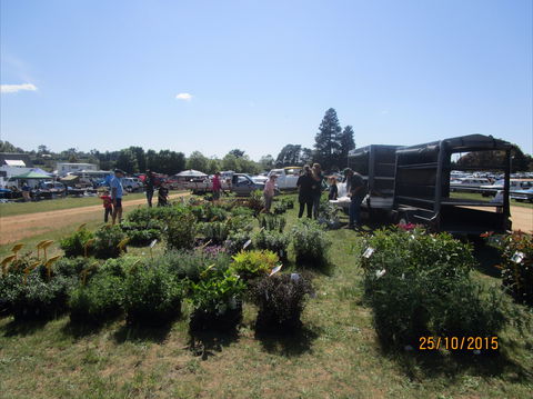 Crookwell Rotary Swap Meet And Market Day - Broome Tourism 1