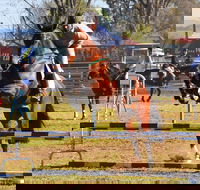 Glen Innes Pastoral and Agricultural Show - Broome Tourism