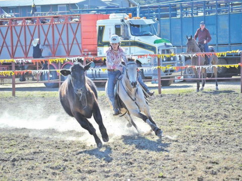 Gresford  Campdraft And Rodeo - Broome Tourism 0