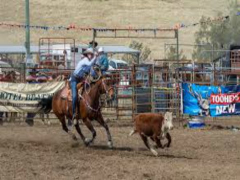 Gresford  Campdraft And Rodeo - Broome Tourism 1