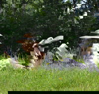 High Country Writers Festival - Broome Tourism