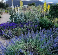 Highfield Gardens - Broome Tourism