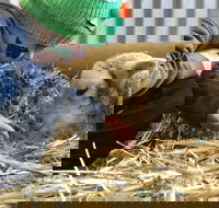 Horsham Agricultural Show - Broome Tourism