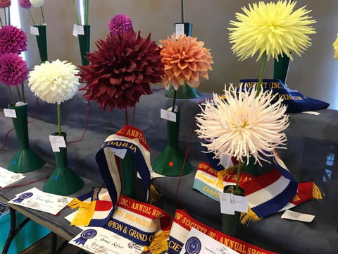 Kiama Show - Broome Tourism 2