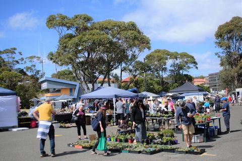 Marine Rescue Ulladulla Wharf Markets - Broome Tourism 1
