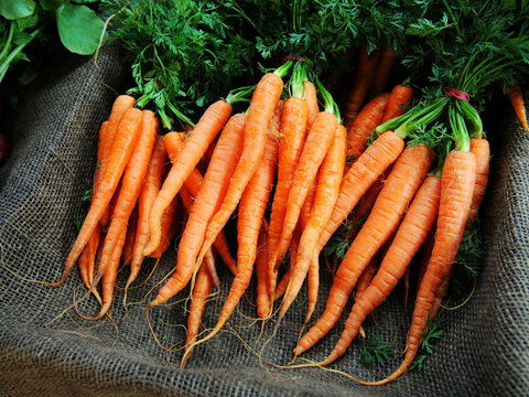 Mudgee Farm Walks - Broome Tourism 2