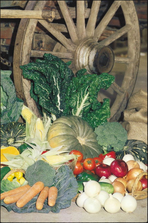 Mulgowie Real Farmers Markets - Broome Tourism 0