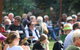 Music In The Gardens - Mitch King - thumb 1