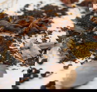 Red Hot Chilli Pepper Spice Blending Class - Broome Tourism