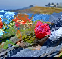 Roses by the Seaside National Rose Championships and Conference - Broome Tourism