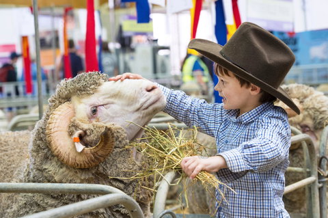 Sydney Royal Easter Show - Broome Tourism 0