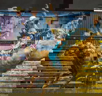 Top Gun and Young Gun Series Round 9 - Broome Tourism