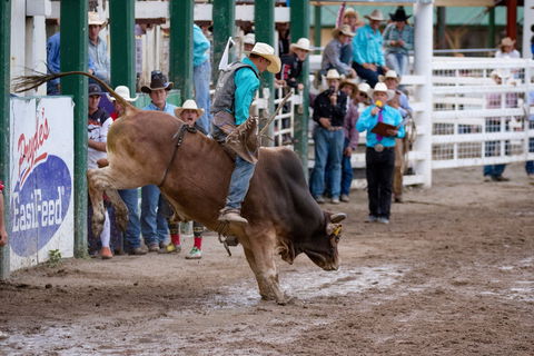 Warwick Rodeo National APRA National Finals And Warwick Gold Cup Campdraft - Broome Tourism 1