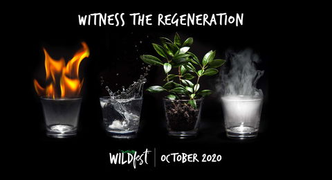 Wildfest - Annual Festival - Broome Tourism 0
