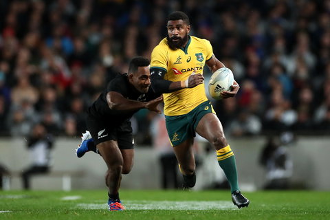 Bledisloe Cup Double-Header: Qantas Wallabies V All Blacks | Buildcorp Wallaroos V Black Ferns - Broome Tourism 1
